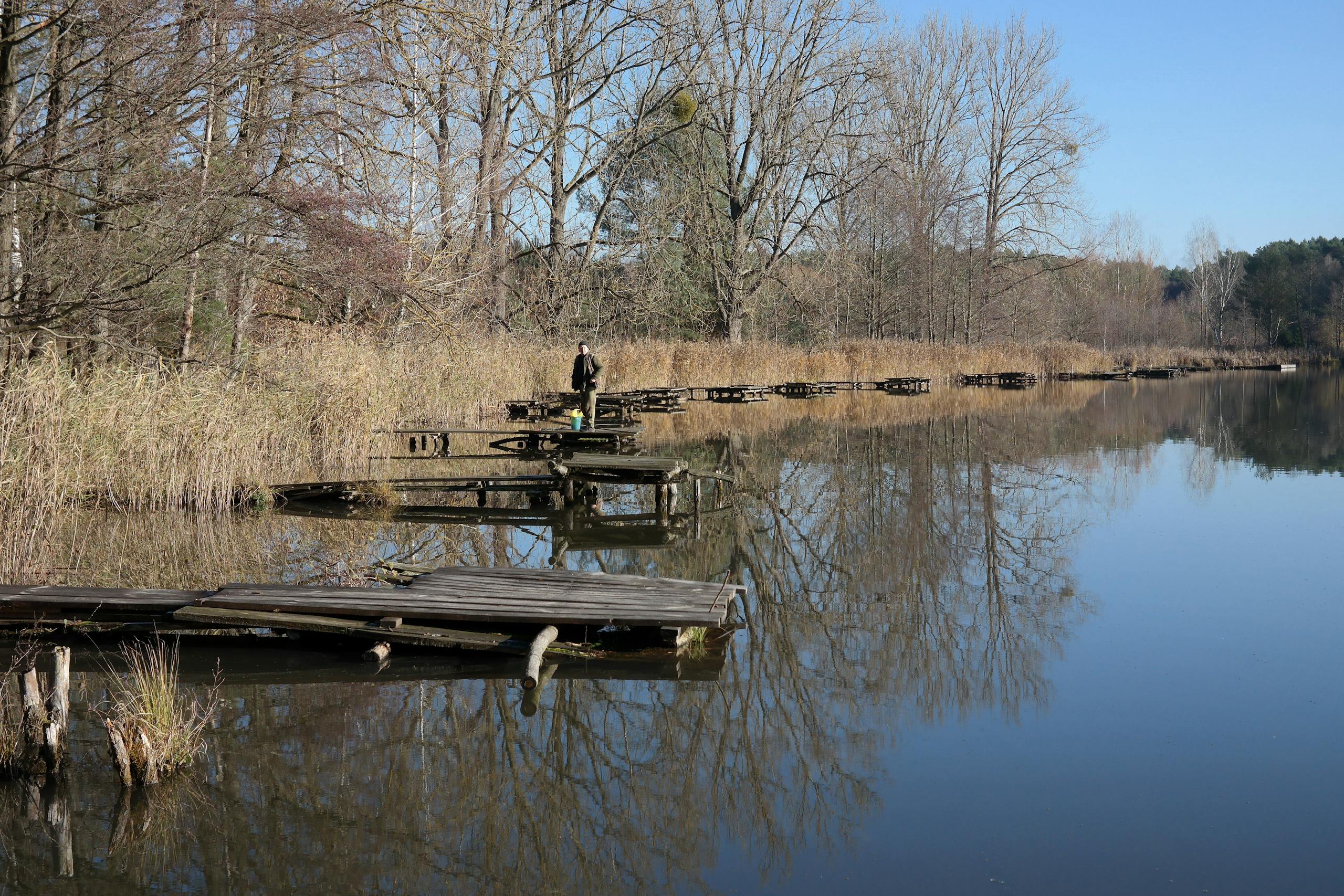 Serene view of a person fishing on a tranquil lake with trees reflecting in the water.